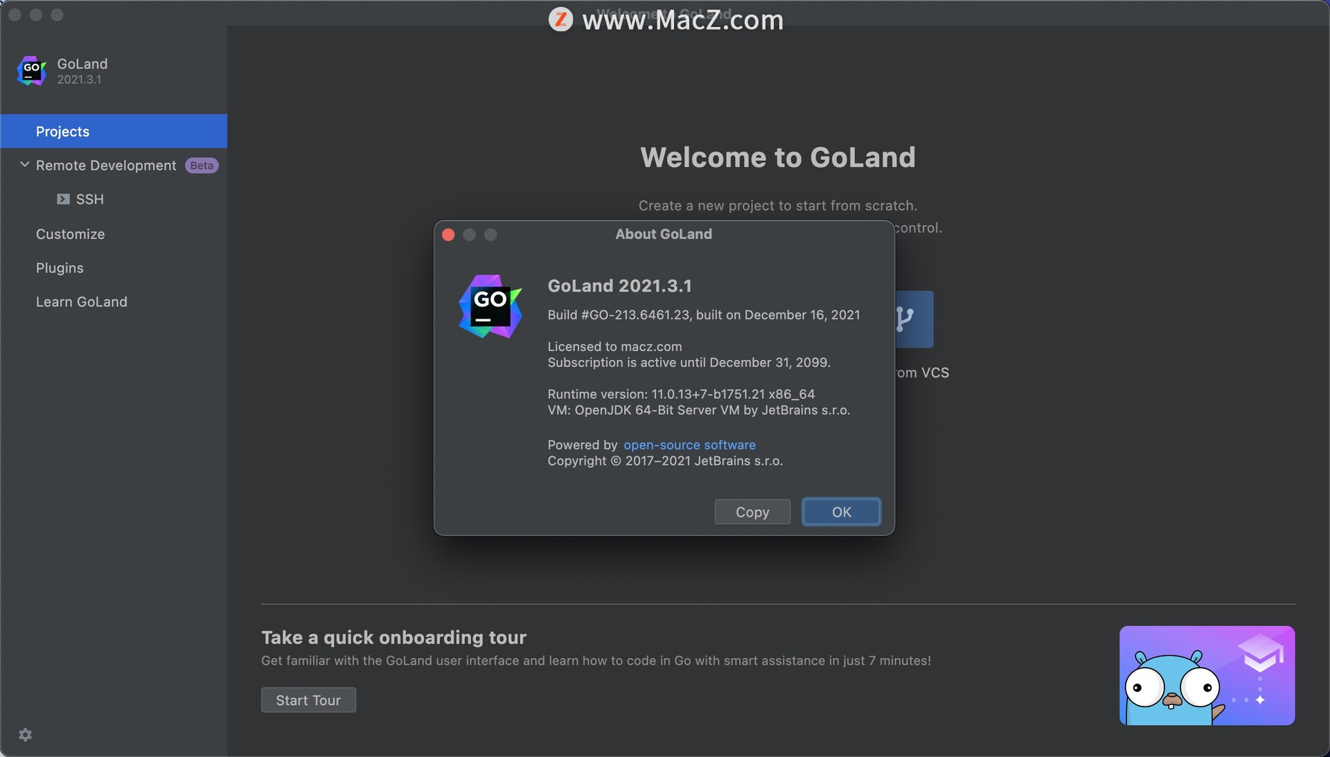 JetBrains GoLand 2021�������°�2021.3.4 רҵGo����IDE