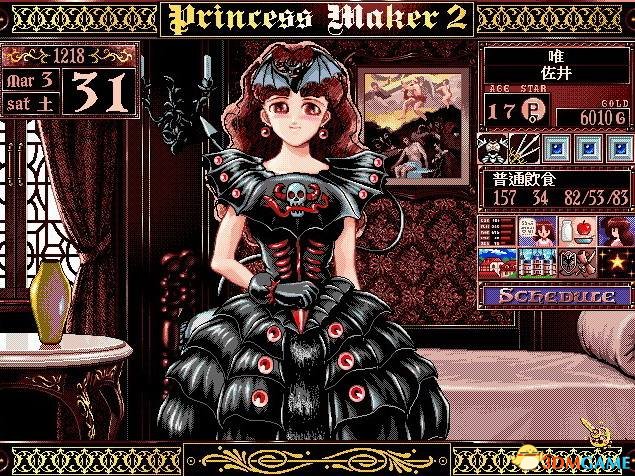 ����Ů�ι���2 Princess Maker 2 ���������淨���Դ�ȫ
