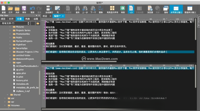 UltraEdit2026.1.0.10