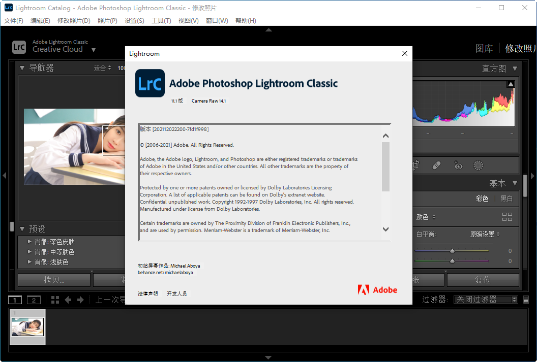 Adobe Lightroom Classic Lightroom Classic2022 v11.5 专业修图