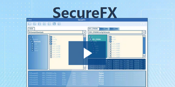 SecureFX 安卓版 远程文件管理界面