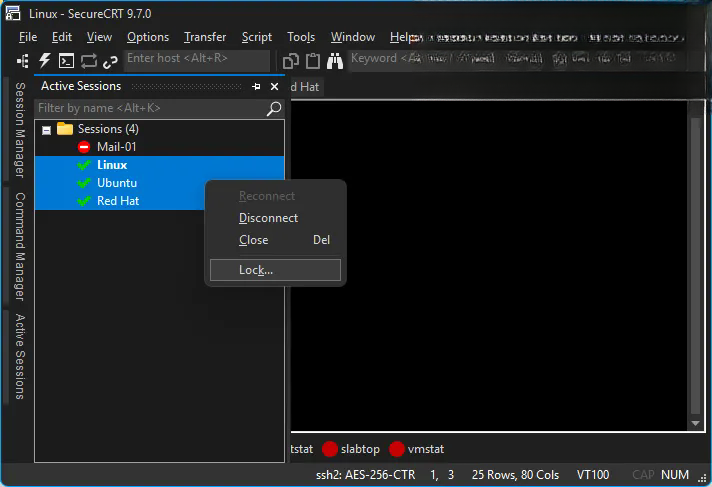 SecureFX8.1.1 רҵ�ļ����乤��