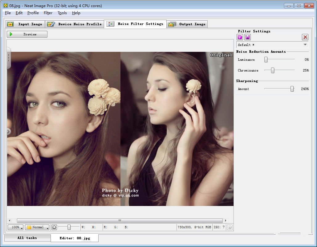 Neat Image9.1.2 רҵ�����˾�