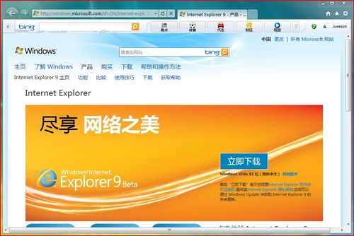 Internet Explorer 9 浏览器 界面截图