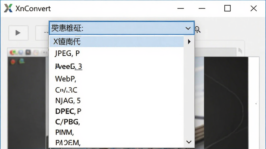 XnConvert格式选择下拉菜单,显示多种常见图片格式如JPEG, PNG, WebP,软件名称