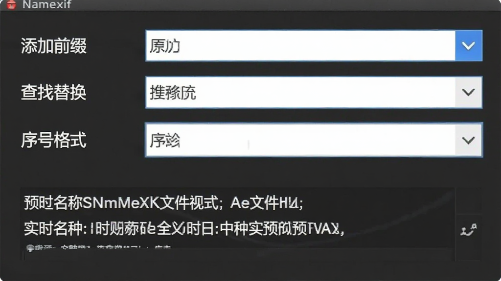 一张展示Namexif软件规则设置界面的特写图片,画面上有多个下拉菜单和输入框,分别标注着