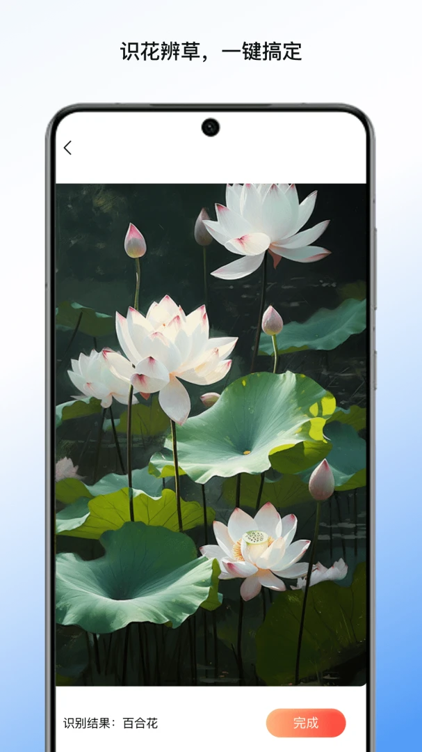 ��ī�ĵ�����app����v1.2 ��׿��