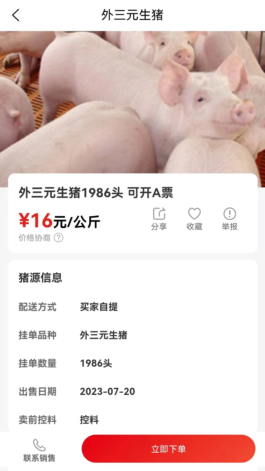 ���������г�appv411 ��׿��