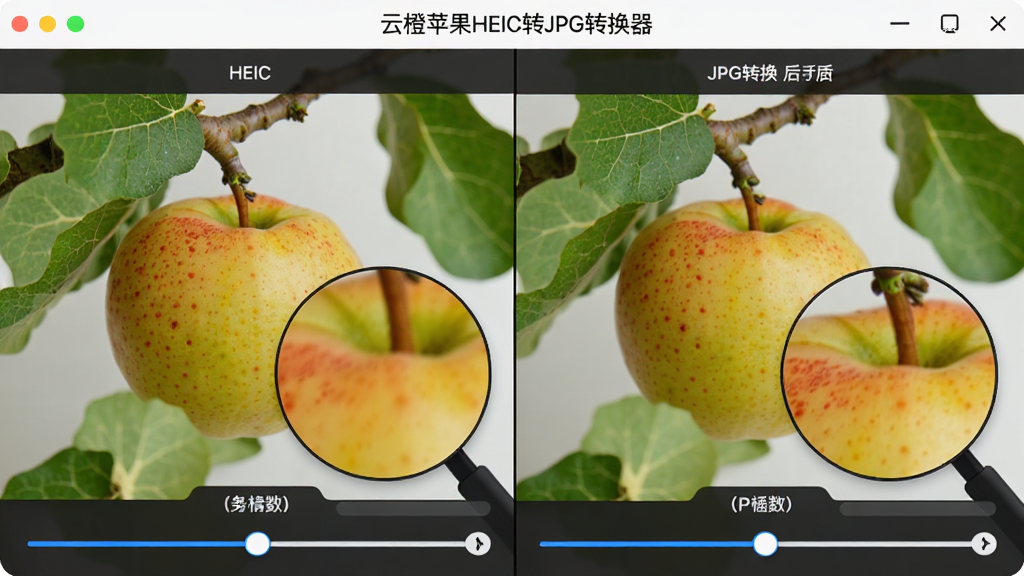 展示“云橙苹果HEIC转JPG转换器”画质对比功能,左右分屏显示同一张照片的HEIC原图与JPG转换后效果,细节放大区域清晰可见,色彩过渡自然,界面简洁,带有参数调整滑块,整体风格专业,画质细腻,背景干净