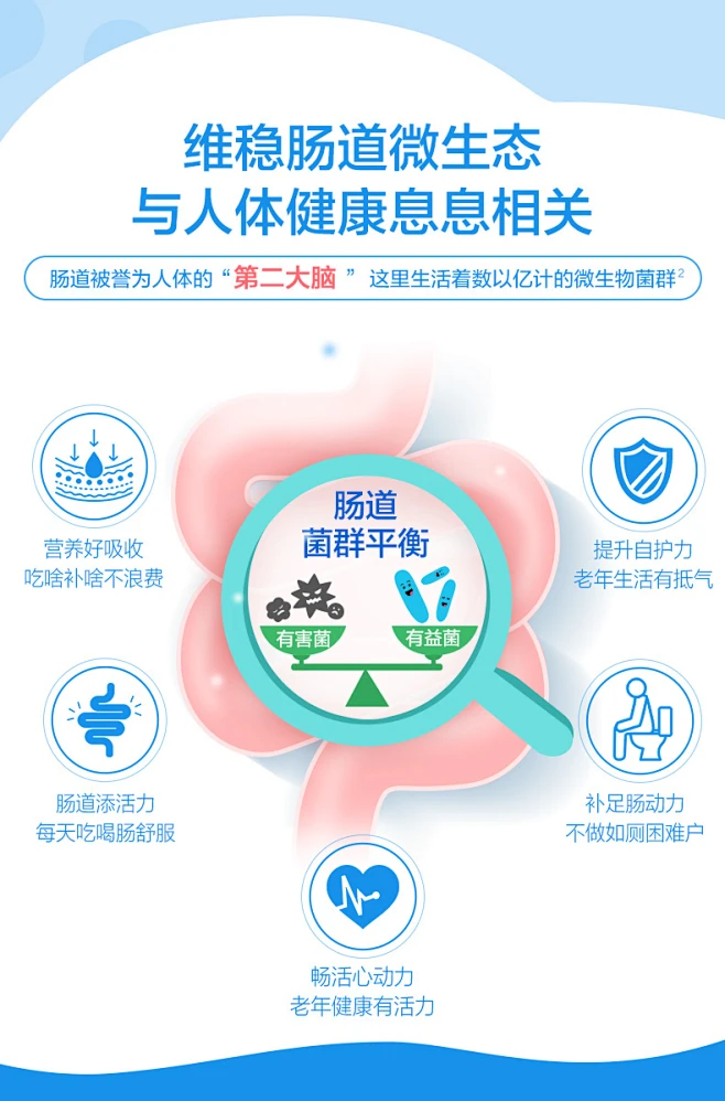 老白健康运动辅助肠胃调理