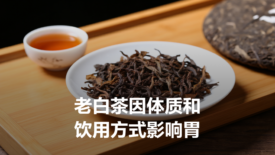 老白健康作息规律养胃方法