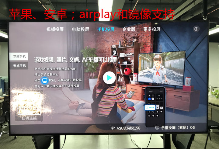 PiliPlus电脑版 TV大屏 投屏设置