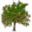 WinDirStat2.0.3 ���̿ռ��������