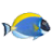 �������1.2.0 ���Զ�̬ˮ������