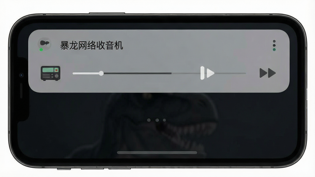 一张展示“暴龙网络收音机”在手机后台播放的截图,手机屏幕亮起,通知栏显示播放控制条,背景为深色,界面简洁,画质干净,无多余元素