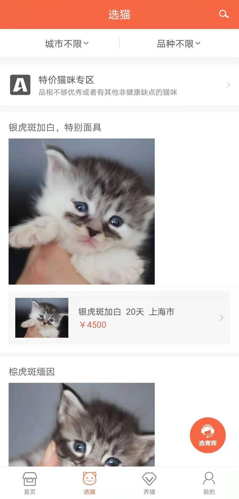 家连猫舍app正规猫舍买猫平台推荐下载使用教程