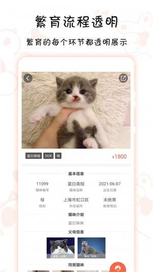 家连猫舍app下载安装注意事项和正规猫舍平台对比