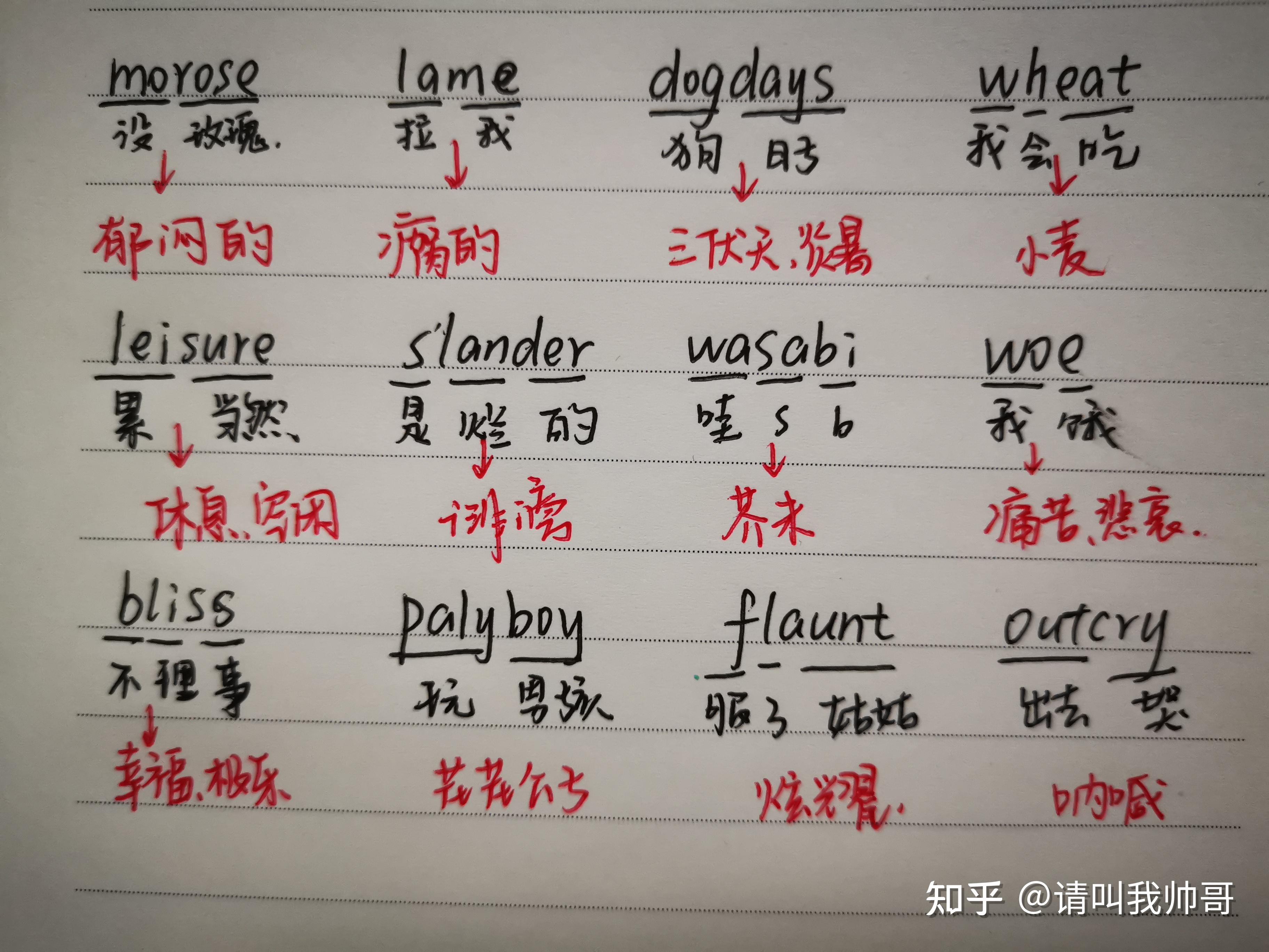 我爱背单词 背单词避坑 复习打卡坚持