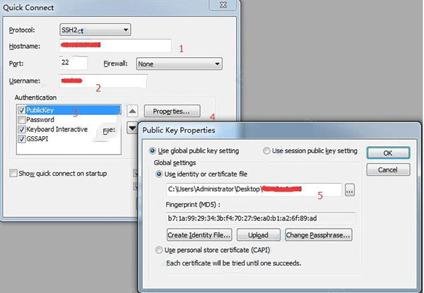SecureCRT9.5.2 �ն�ģ�⹤��