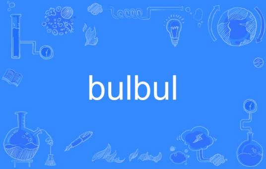 BULBUL安卓版下载安装教程全过程配图