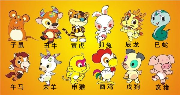Shio是什么生肖 冷知识大盘点 趣味解读