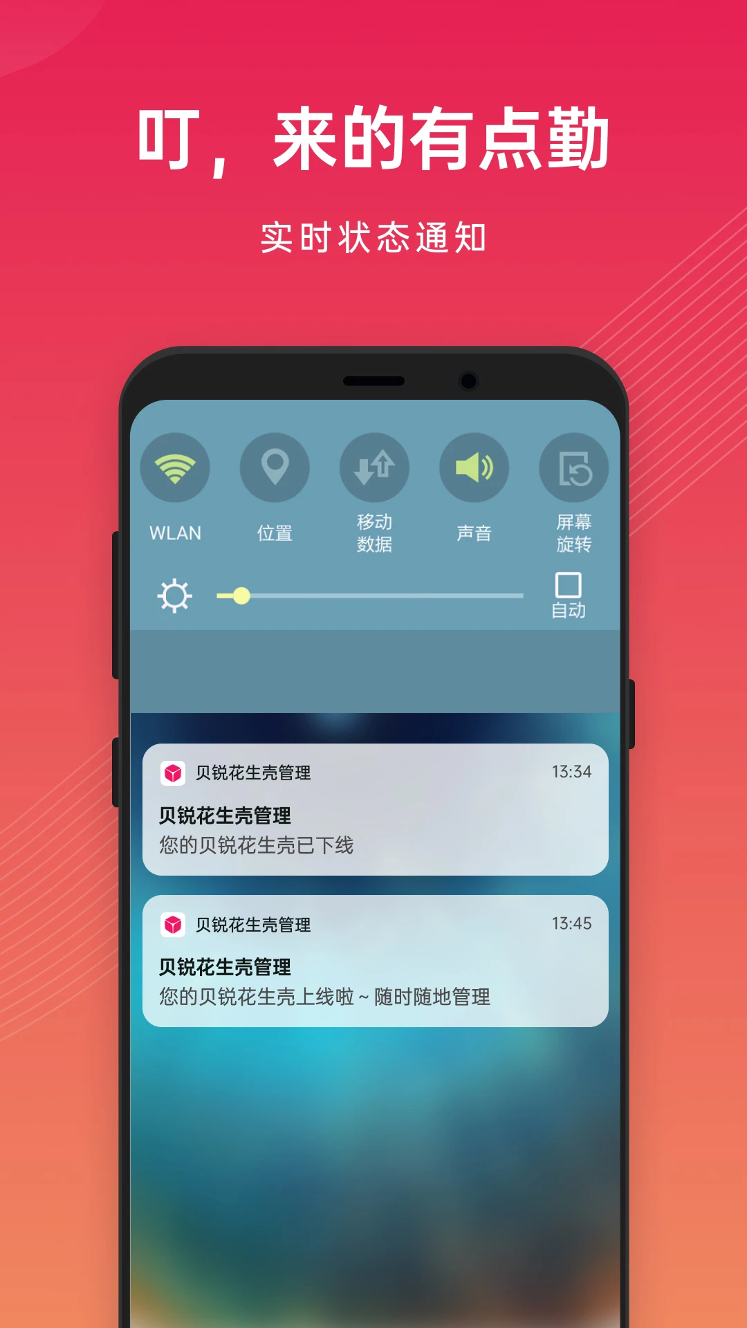 花生壳8.6.0.30318 内网穿透工具