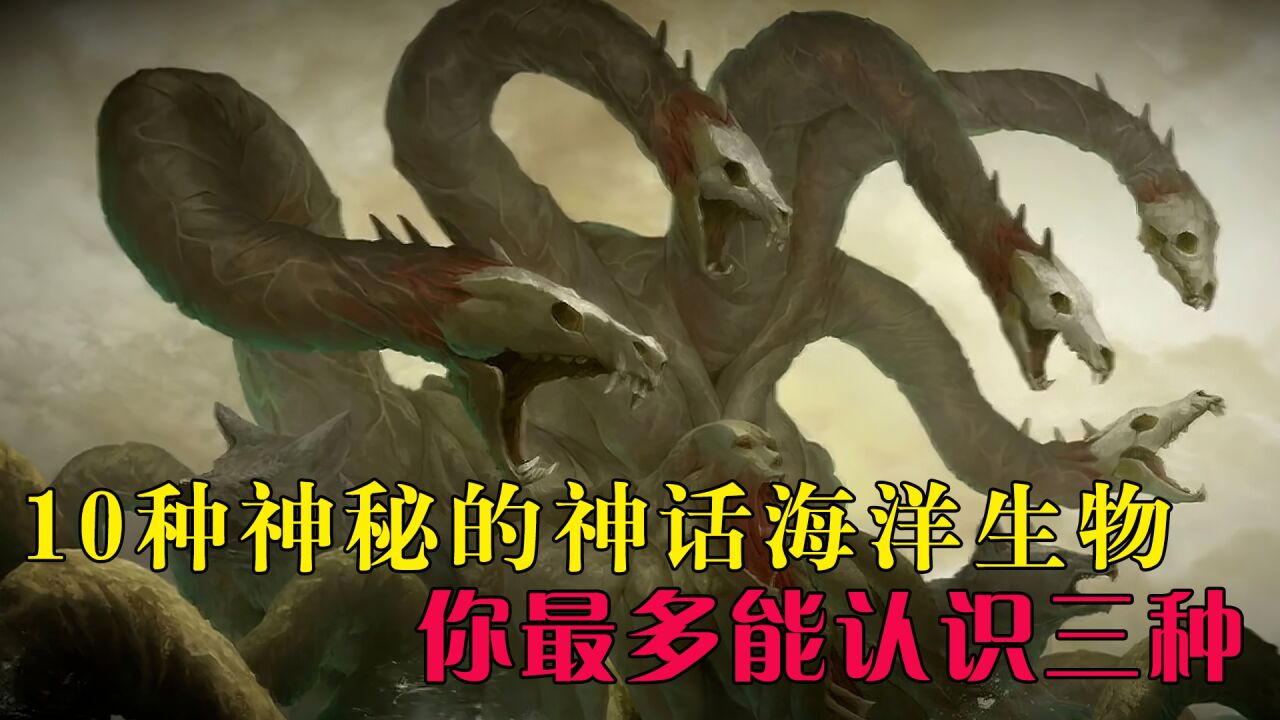 超神鲸 海洋 神秘生物 传说 图片