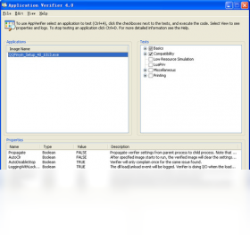 Application Verifier10.1.22621.1 ����ʱ��֤����