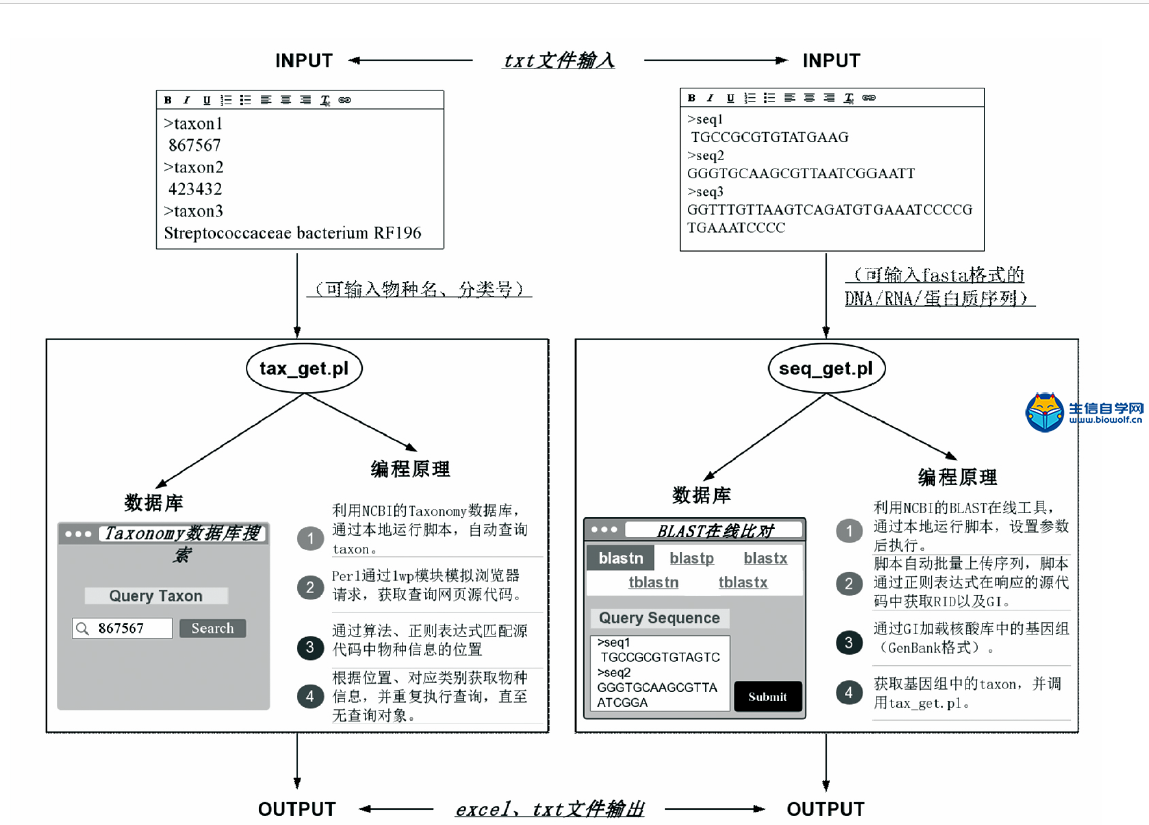 Perl 语言 语法 特点 详解