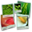 FotoWall1.0.0 图像拼贴美化工具