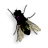 Fly on desktop1.0.0 ����Ȥζ����