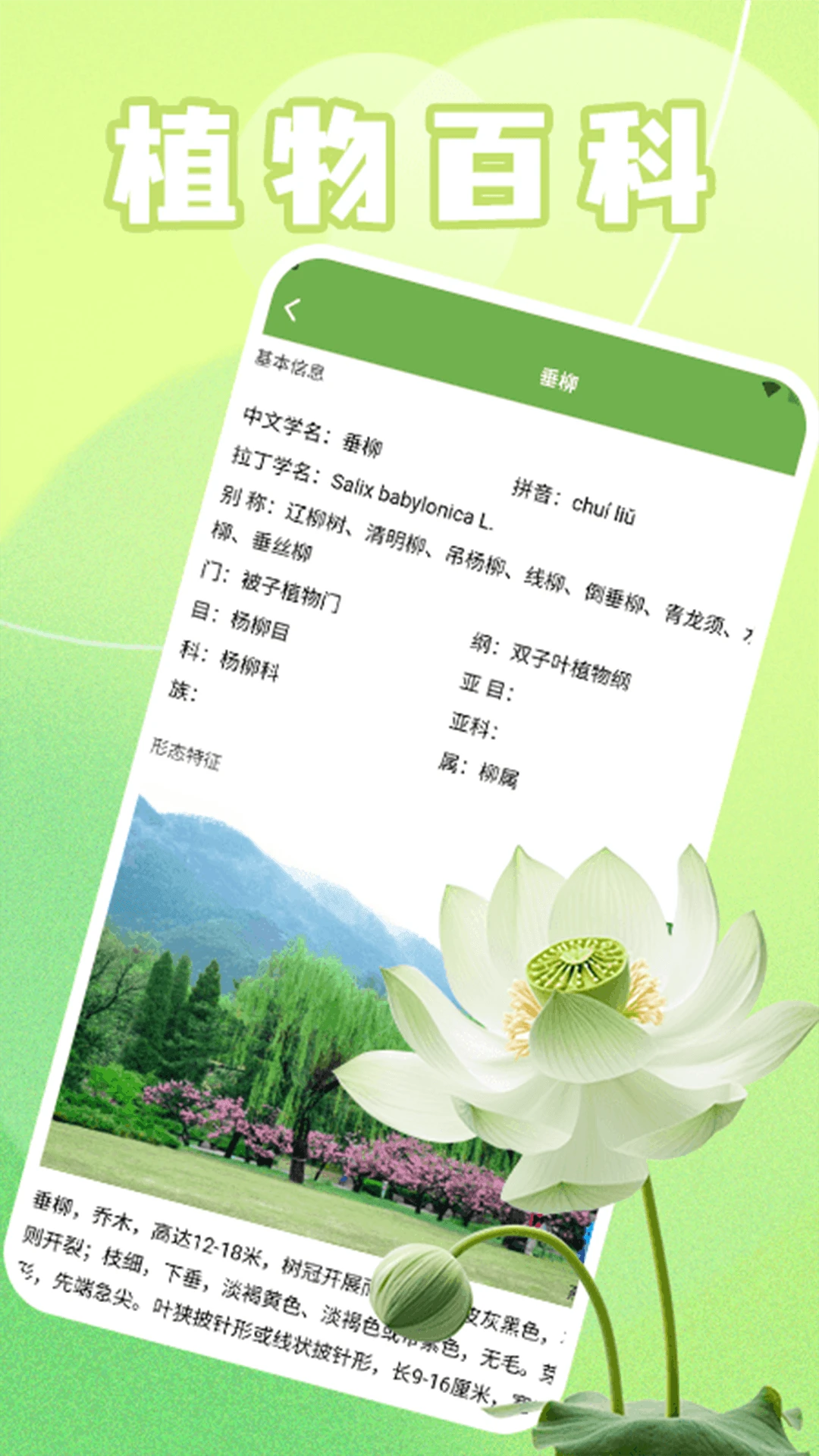 �����appv1.3 ��׿��