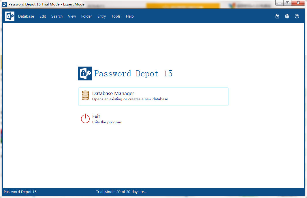 Password Depot 安卓版 操作界面