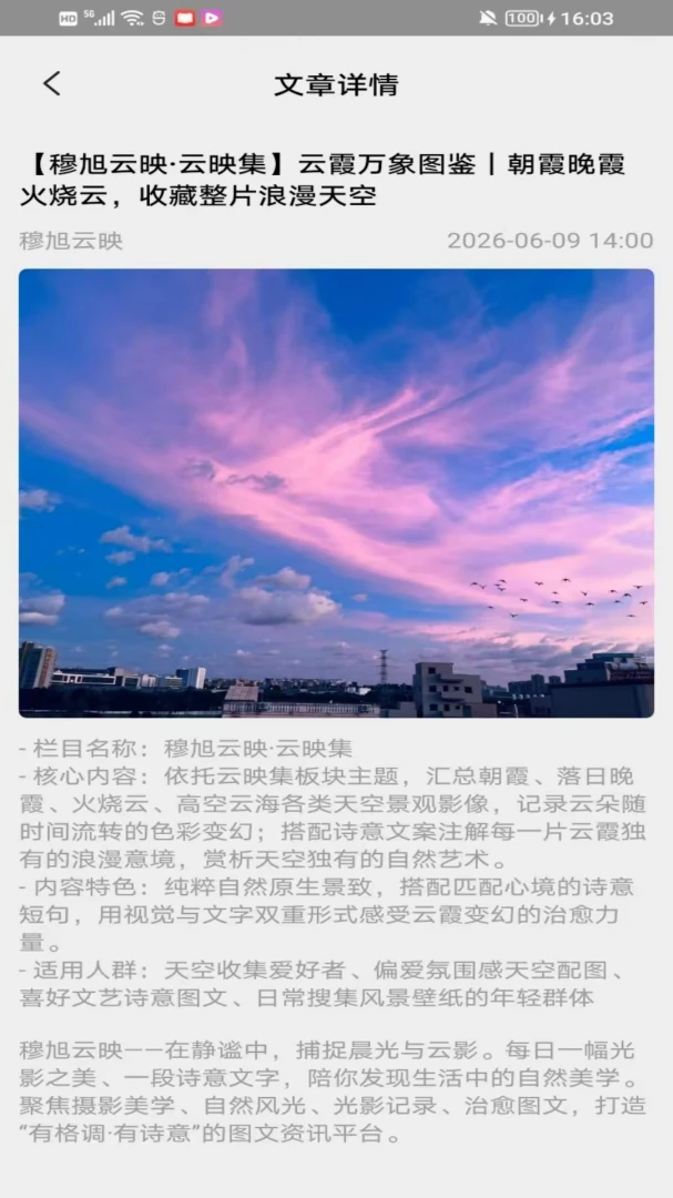 安沐辰湾appv2.0 安卓版