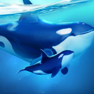 ССˮ����������Դ��(World of Water��װ��)v4.36.1 ��ֲ��