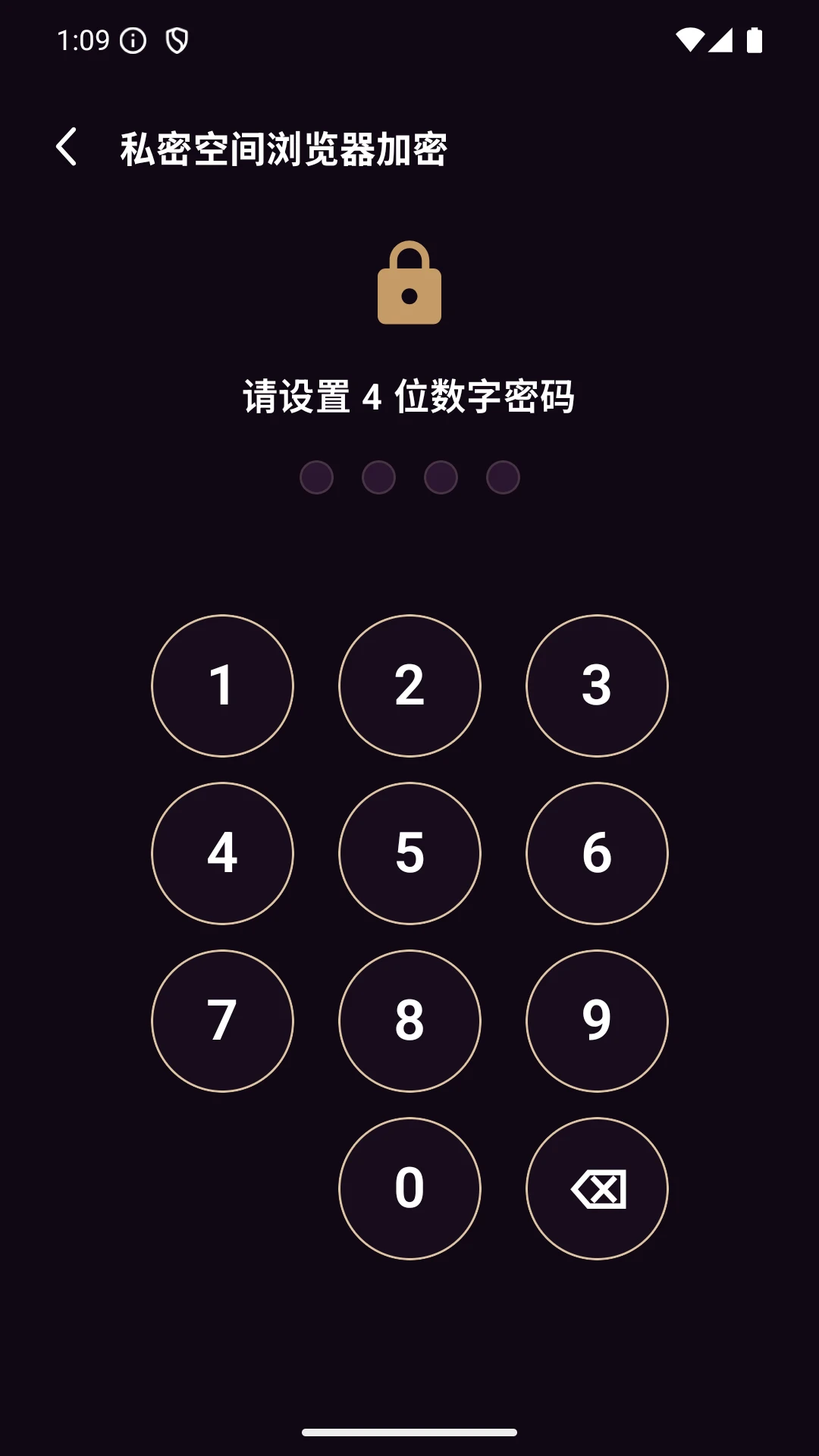 私密空间浏览器appv1.0 安卓版