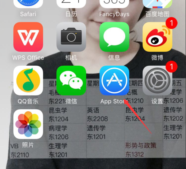 iƽԺapp���� ƻ���ֻ� App Store ��װ����