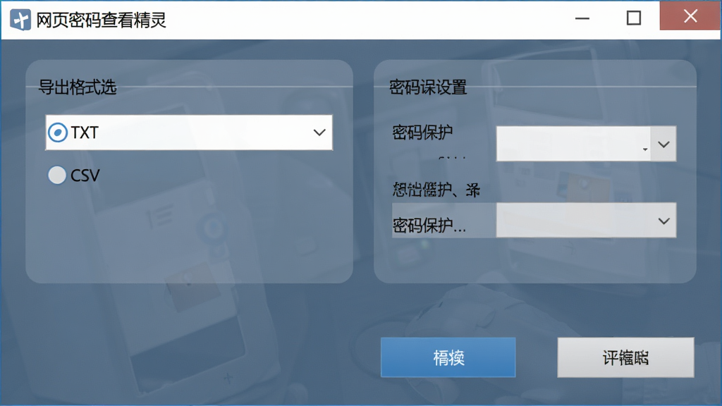 画面主体为网页密码查看精灵的导出功能操作界面,界面中显示导出格式选择框,包括TXT和CSV选项,旁边有密码保护设置栏,软件名称“网页密码查看精灵”显示在窗口标题栏,整体布局简洁,按钮清晰,风格为商务蓝灰调,画质干净,无多余元素。