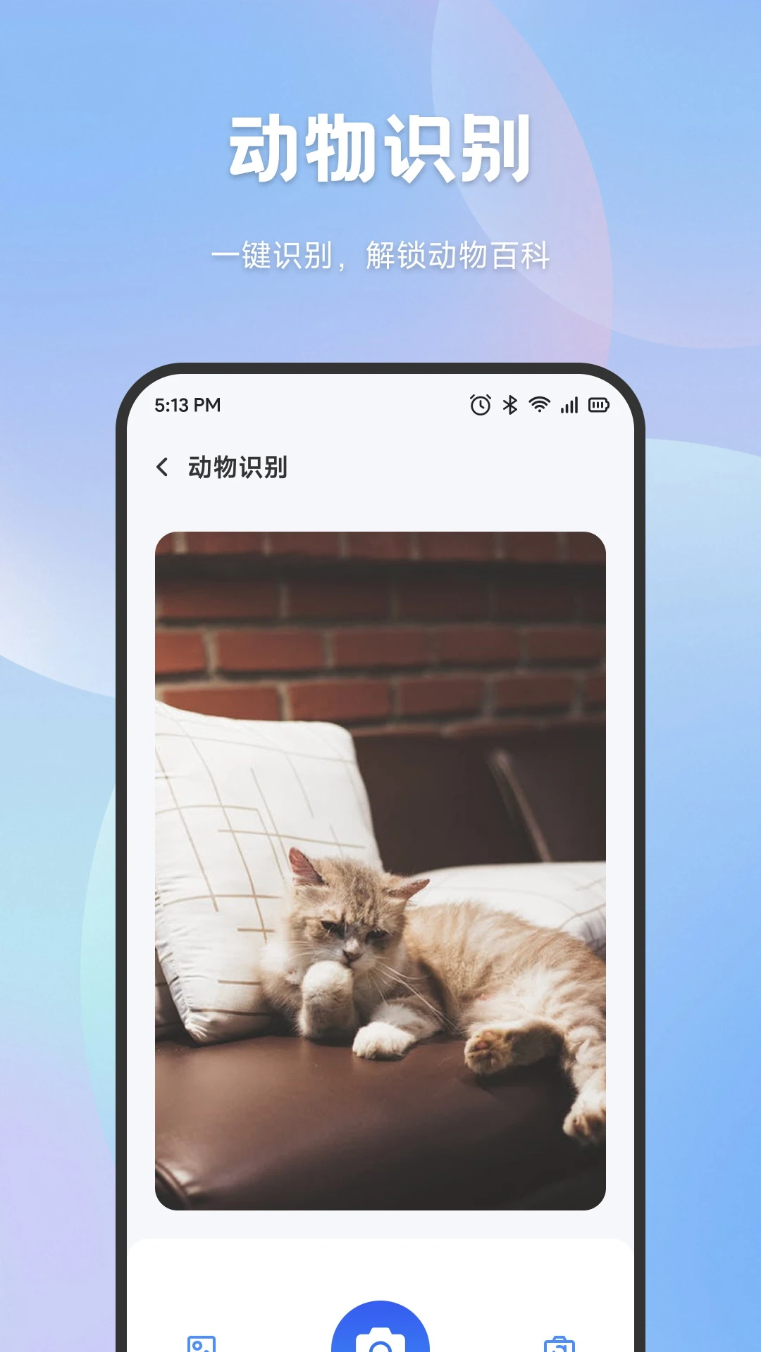 �ֻ���һ���appv1.9 ��׿��