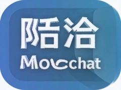İǢMochat��ʲô���� �罻APP���ܽ���