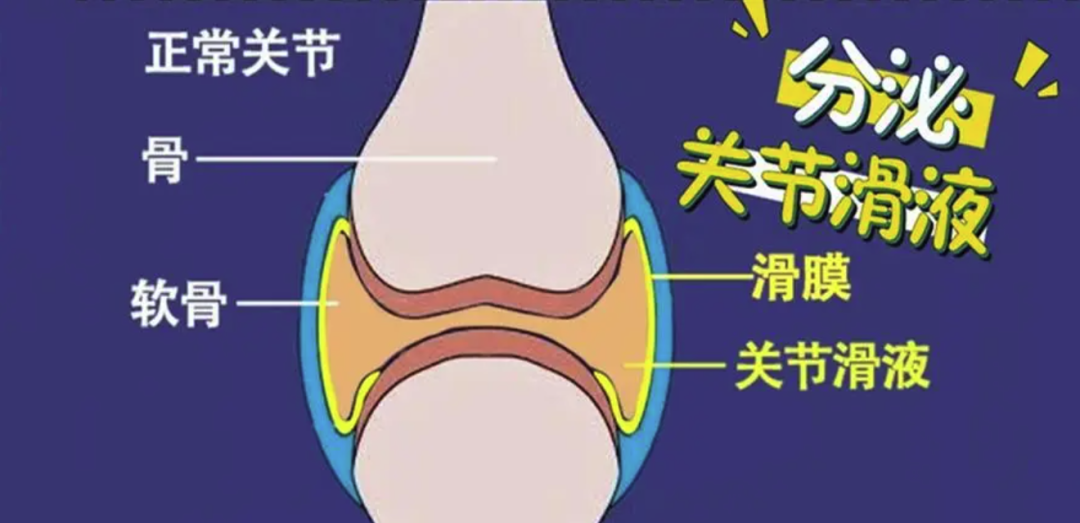 ���� �ؽڵ��� ���� Ԥ�� �˶�