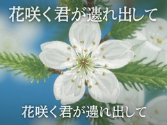 ����֮��Я������֮��ͷ�İ׻��ֻ��湥��