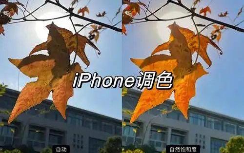 СԤ�� �ճ����� ��ɫ���� ��Ƭ��Χ�� �ֻ���Ӱ�̳�