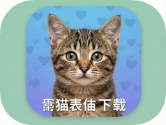 Сè����app���ذ�װ�������������淨