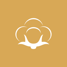 ��ɴ��appv1.1.6 ��׿��