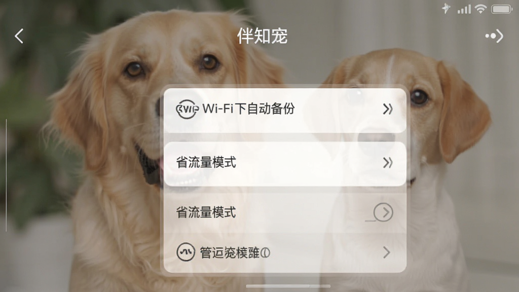 一张手机截图,显示“伴知宠”APP的设置页面,页面上有“Wi-Fi下自动备份”、“省流量模式”等选项,背景为模糊的宠物图片,风格简洁,画质清晰,干净无多余元素