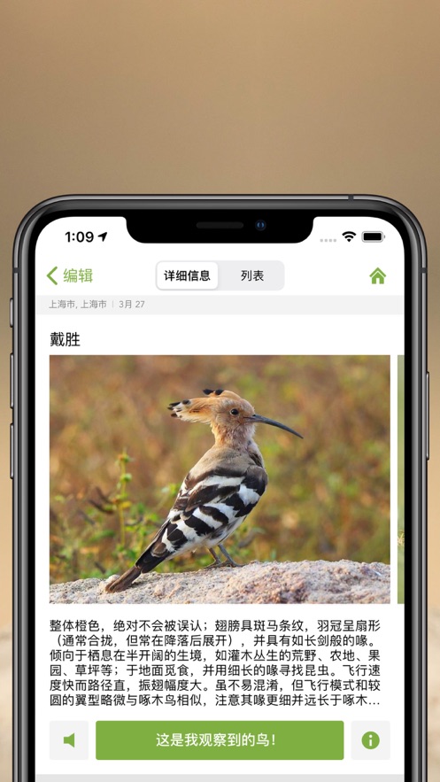 Merlin Bird ID��׿��ʹ�ü������������ʶ��ɹ��ʵķ���
