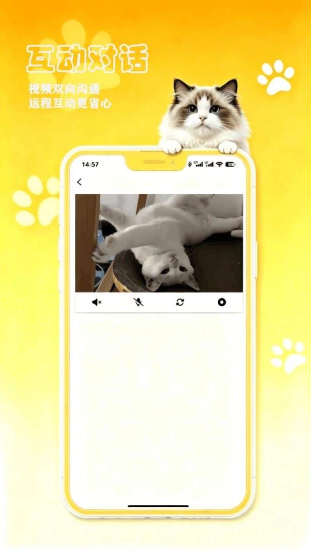 petCompanionR appv1.0.17 安卓版