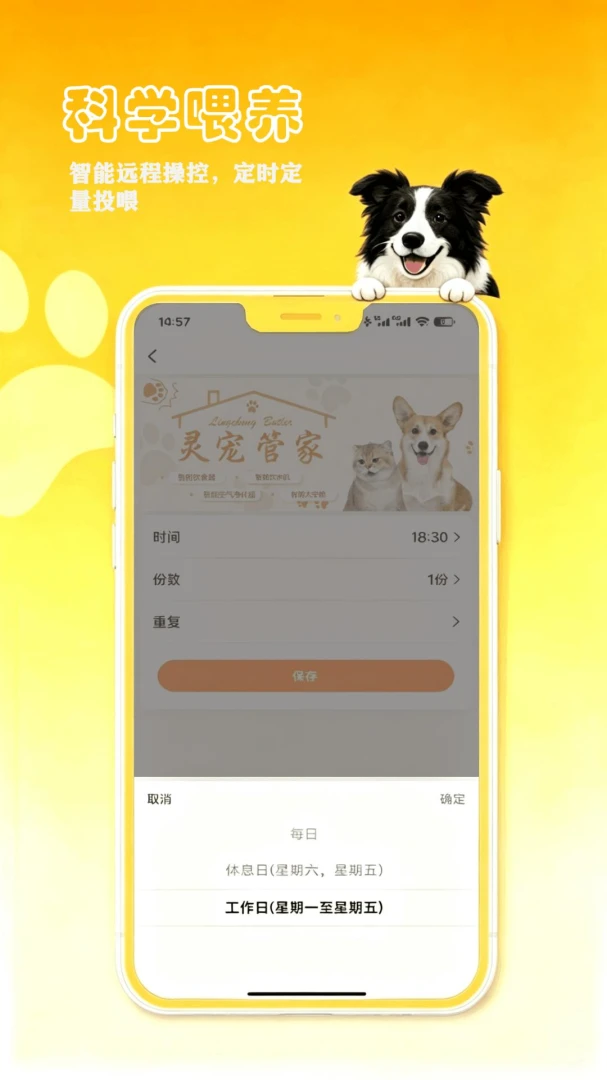 petCompanionR appv1.0.17 安卓版