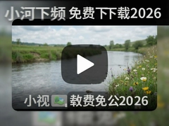 С����Ƶ�������2026���°氲װ��